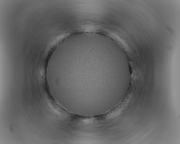 X0000110990306200907022122