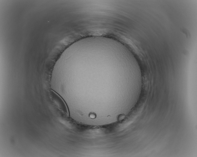 X0000110990307200907022122
