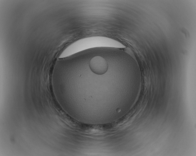 X0000110990308200907022122