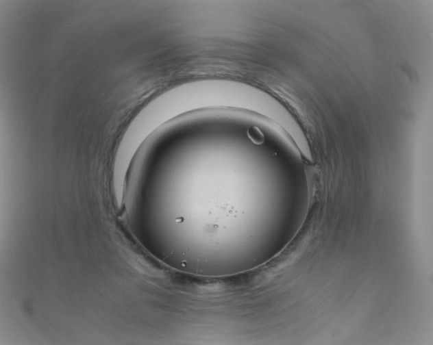 X0000110990309200907022122