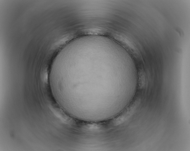 X0000110990310200907022122