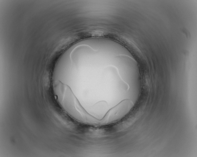 X0000110990311200907022122