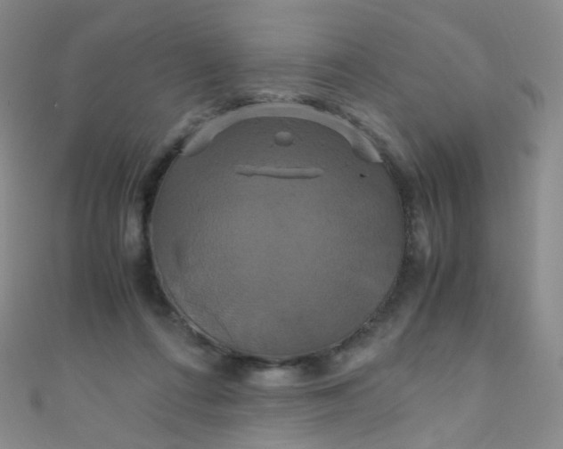 X0000110990312200907022122