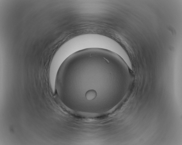 X0000110990313200907022122