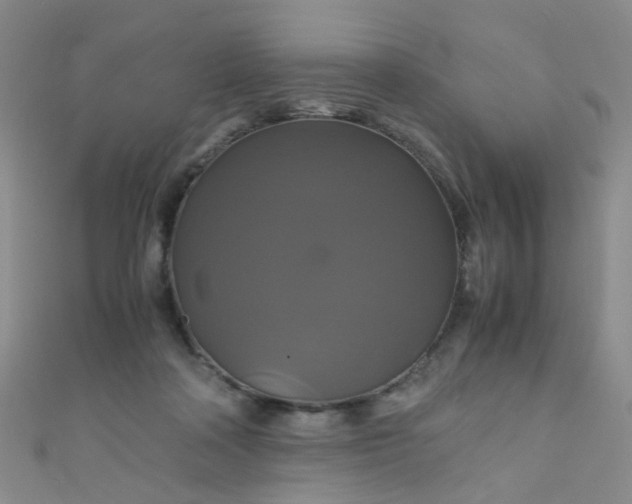 X0000110990314200907022122