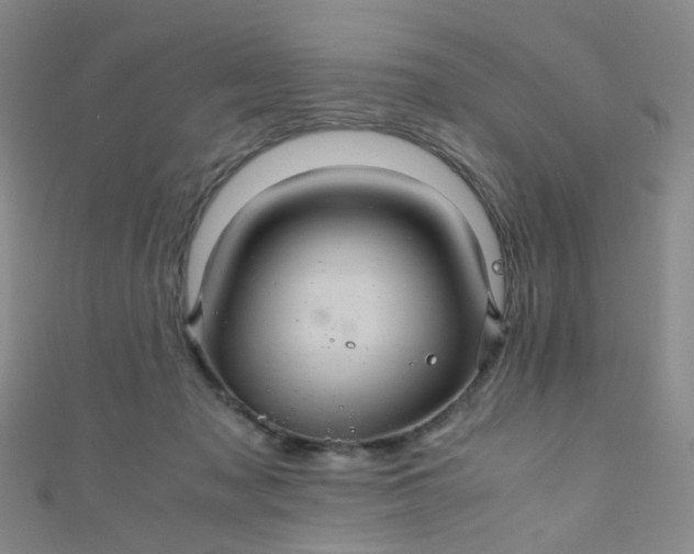 X0000110990317200907022121