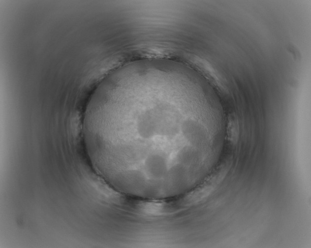 X0000110990318200907022121