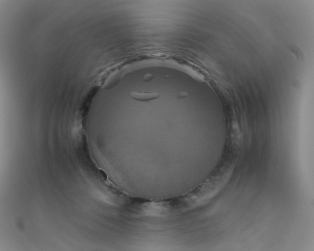 X0000110990320200907022121