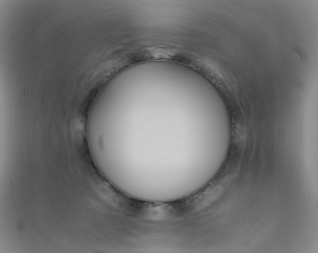 X0000110990321200907022121