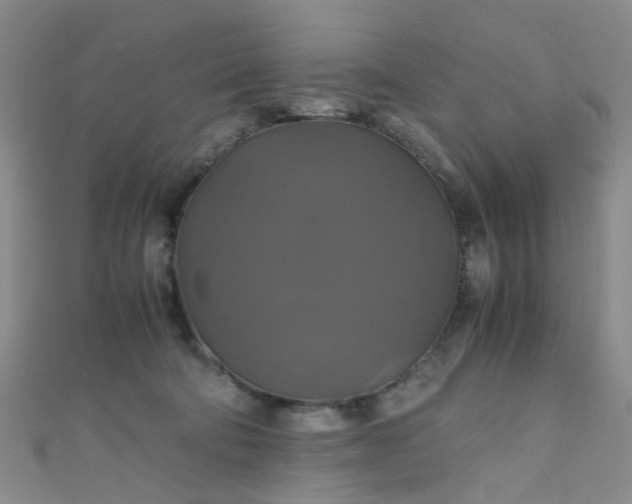 X0000110990322200907022121