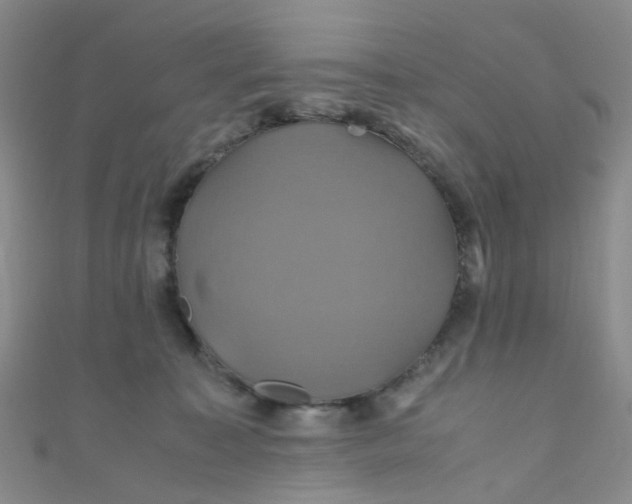 X0000110990323200907022121