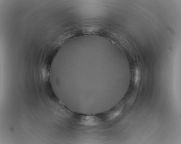 X0000110990324200907022121