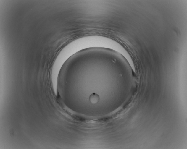 X0000110990325200907022121