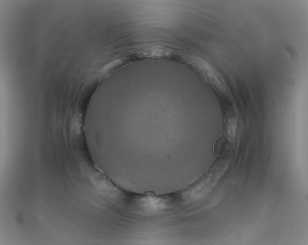 X0000110990326200907022121