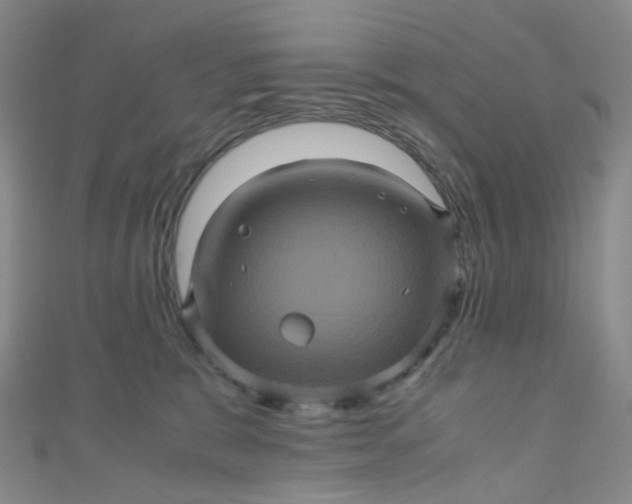 X0000110990327200907022121