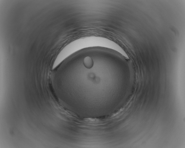 X0000110990328200907022121
