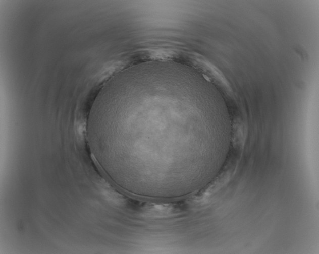 X0000110990329200907022121