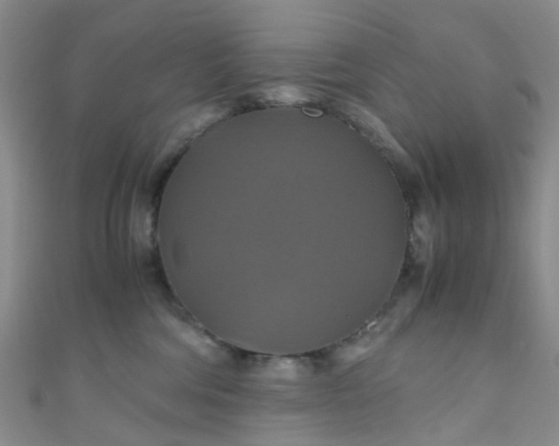 X0000110990330200907022121