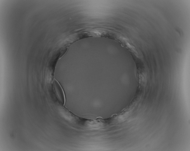 X0000110990331200907022121