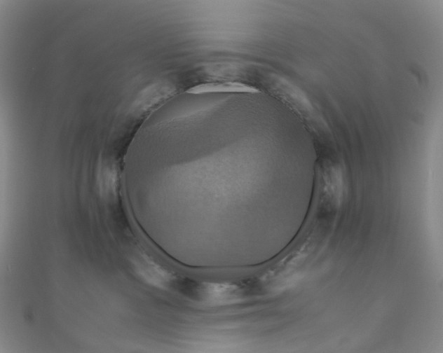 X0000110990333200907022121