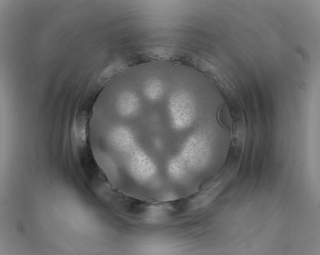 X0000110990334200907022121