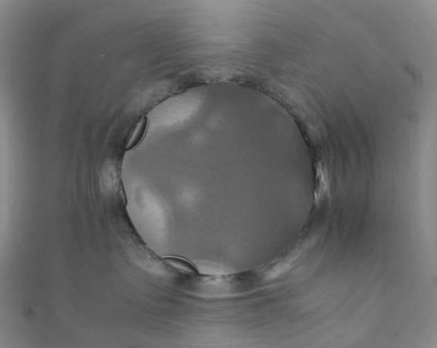 X0000110990335200907022121