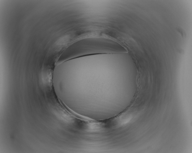 X0000110990336200907022121