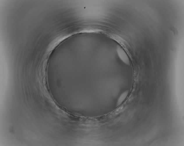 X0000110990337200907022121