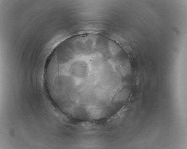 X0000110990338200907022121