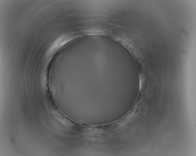 X0000110990339200907022121