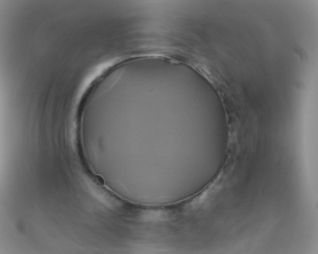 X0000110990342200907022121
