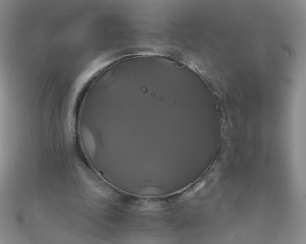 X0000110990343200907022121