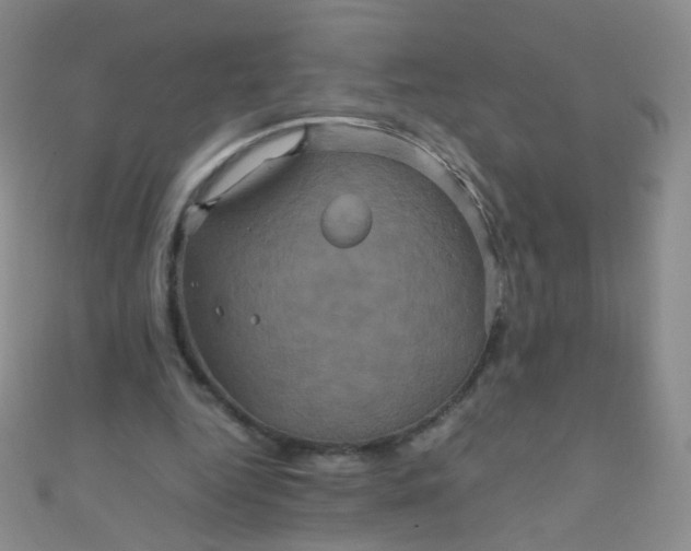 X0000110990344200907022121