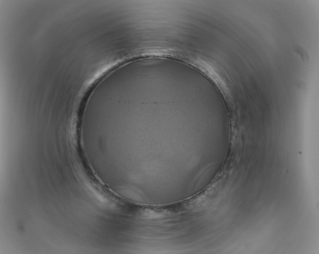 X0000110990346200907022121