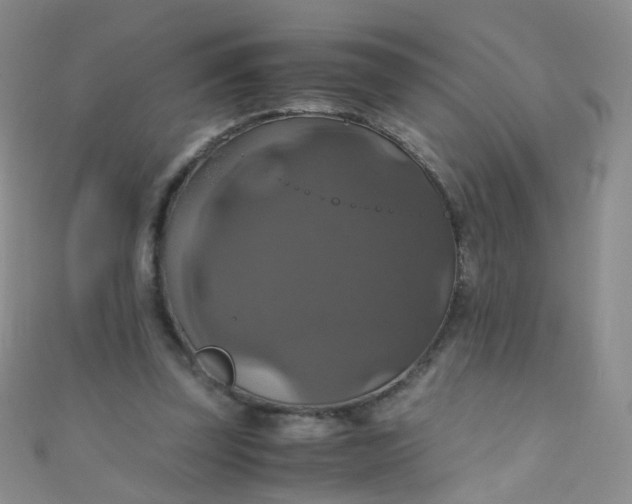 X0000110990347200907022121