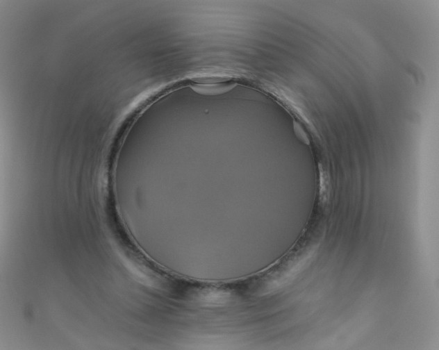 X0000110990348200907022121