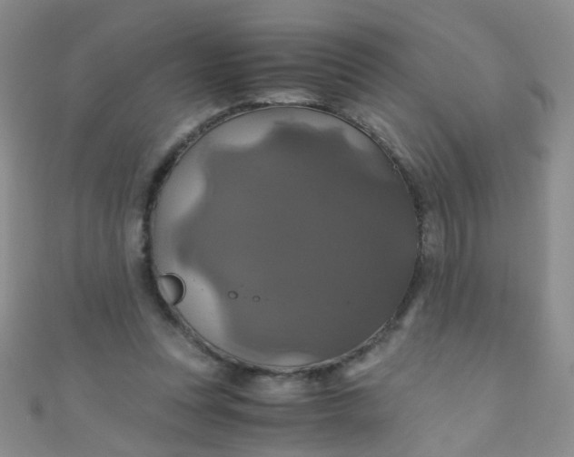 X0000110990351200907022121