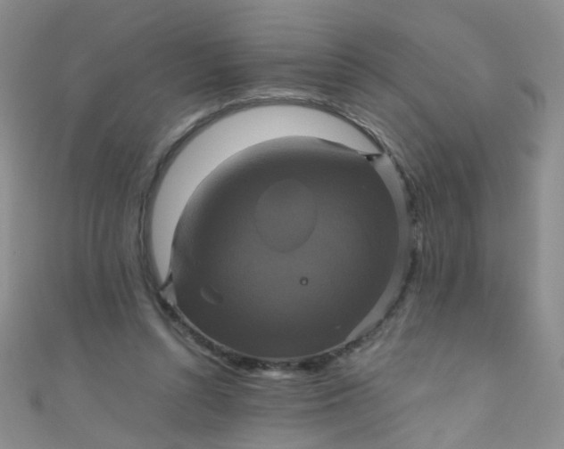 X0000110990352200907022121