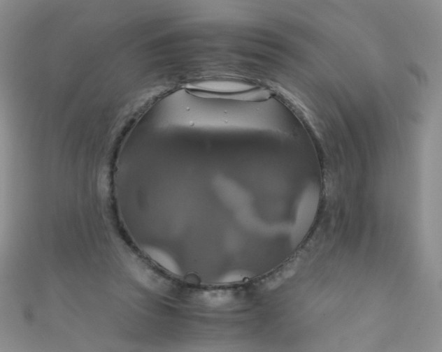 X0000110990353200907022121