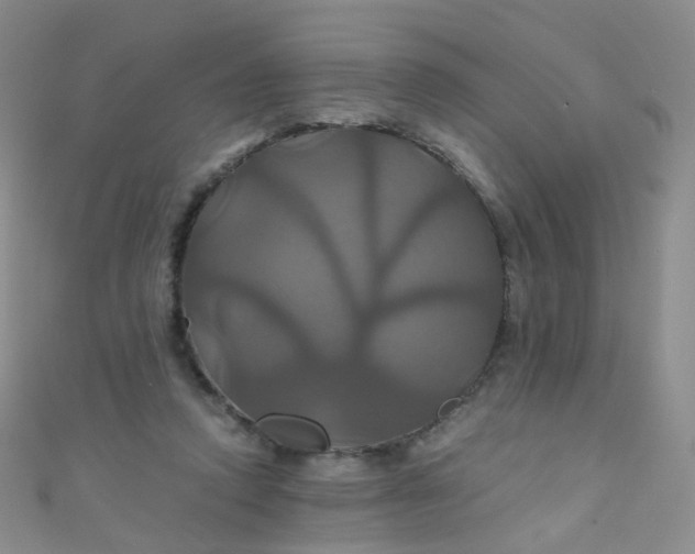 X0000110990354200907022121