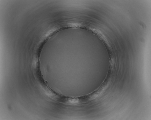 X0000110990355200907022121