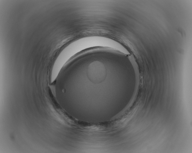 X0000110990356200907022121