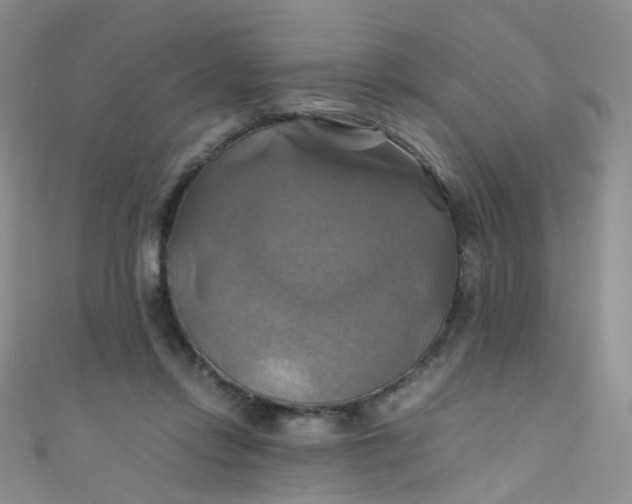 X0000110990358200907022121
