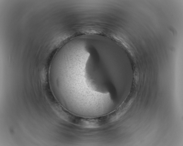 X0000110990359200907022121
