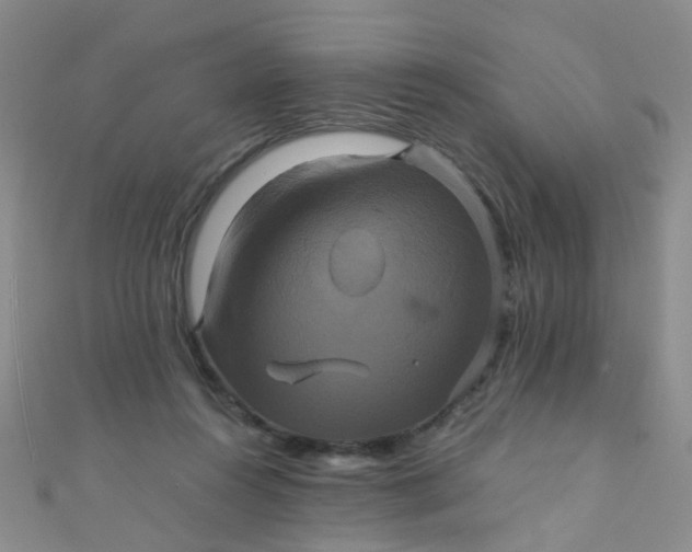 X0000110990360200907022121