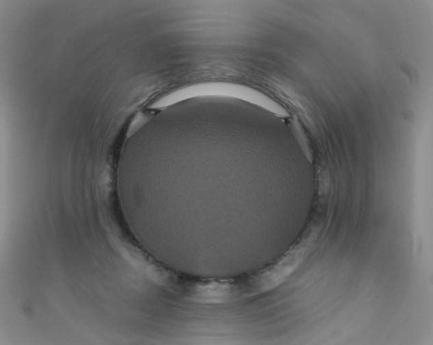 X0000110990362200907022121