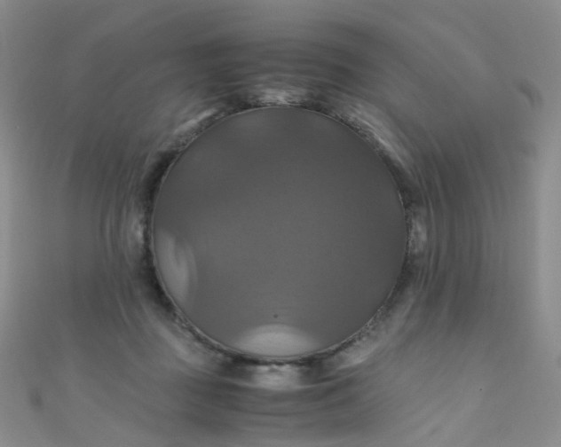 X0000110990363200907022121