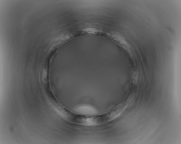 X0000110990365200907022121