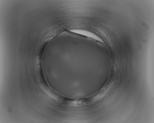 X0000110990366200907022121