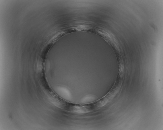 X0000110990367200907022121
